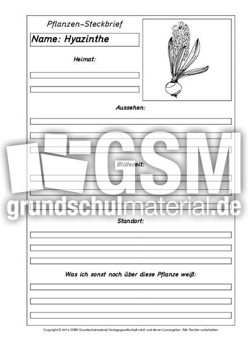 Pflanzensteckbriefvorlage-Hyazinthe-SW.pdf